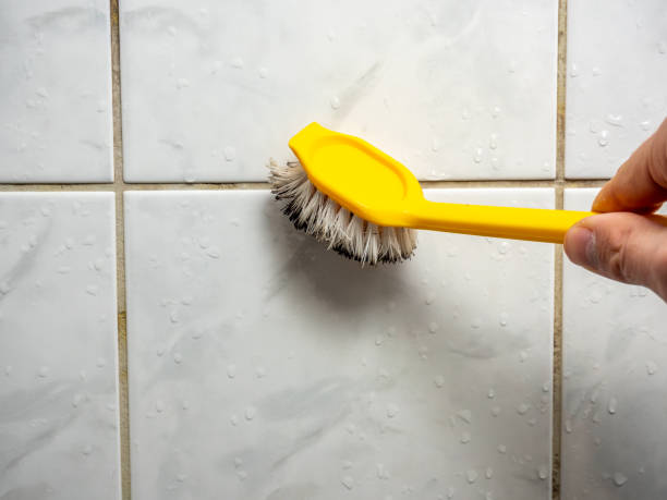 Best Black Mold Removal  in Rosepine, LA